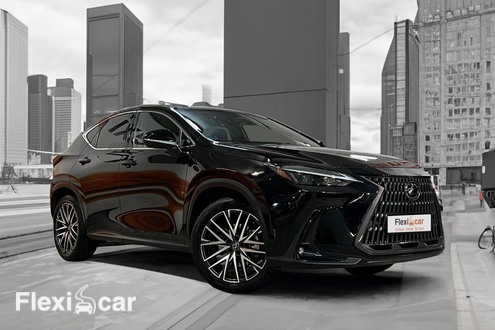 Carro Lexus NX barato