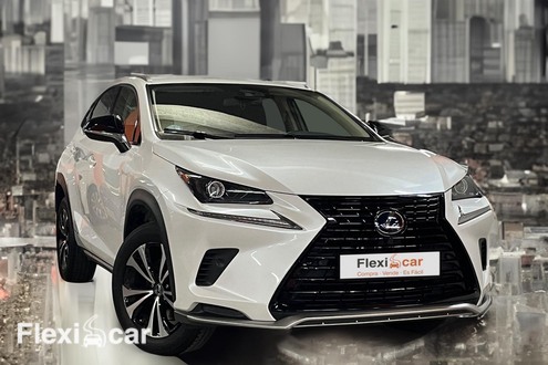 Carro Lexus NX usado