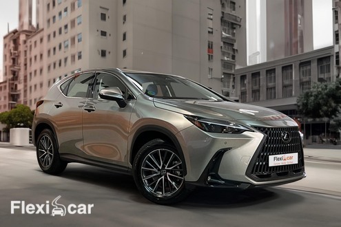 Carro Lexus NX